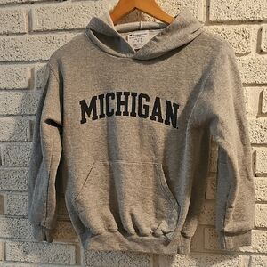 Champion Gray Michigan Men's Sweater